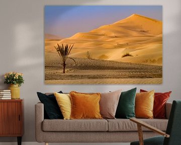 Sanddüne in der Sahara