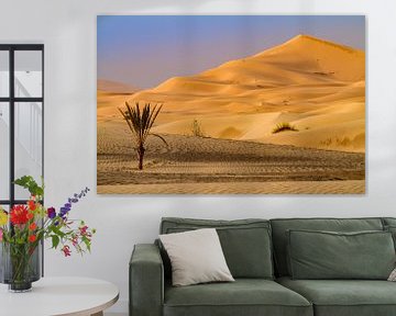 Dune de sable dans le Sahara