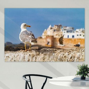 Meeuw op stadsmuur in vissersdorp Essaouira