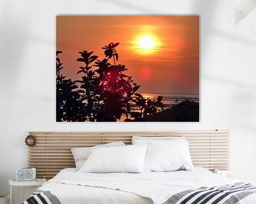 Bladeren bij zonsopgang