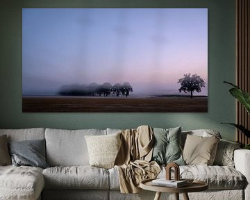 Morning fog at dawn by Laurents ten Voorde