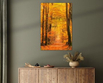 Pad door een goudgeel bos tijdens een prachtige mistige herfstochtend van Sjoerd van der Wal Fotografie