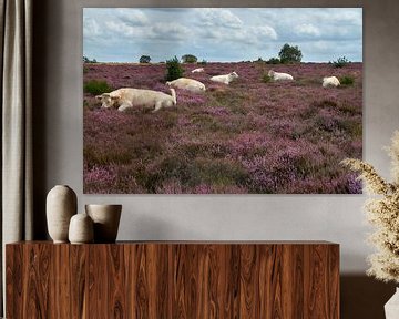 Cattle on the heath by Ad Jekel