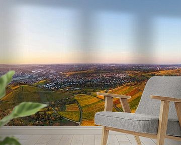 Bird's eye view of Stuttgart with the burial chapel by Werner Dieterich
