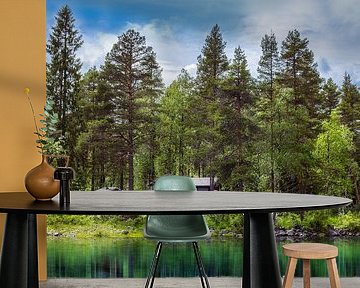 Lake hut by Arjen Roos