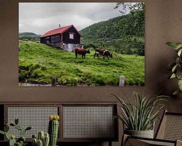 Typsiche Norwegen von MaxDijk Fotografie shop