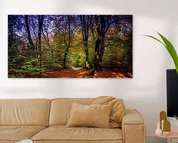 Speulder Wald 5