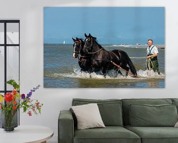 Paarden in de zee bij Ameland