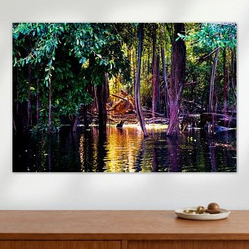 Tropical trees in the Amazon swamp in Peru, South America by John Ozguc