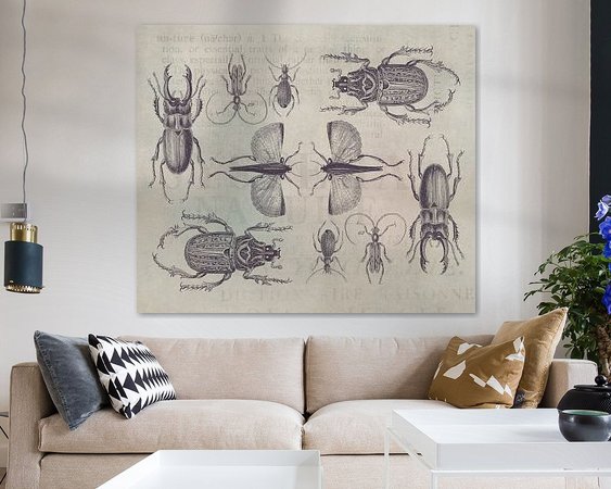 Aperçu de la chambre