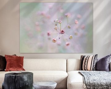 Subtiel (Klein roze bloemetje met zacht scherpteverloop) van Birgitte Bergman