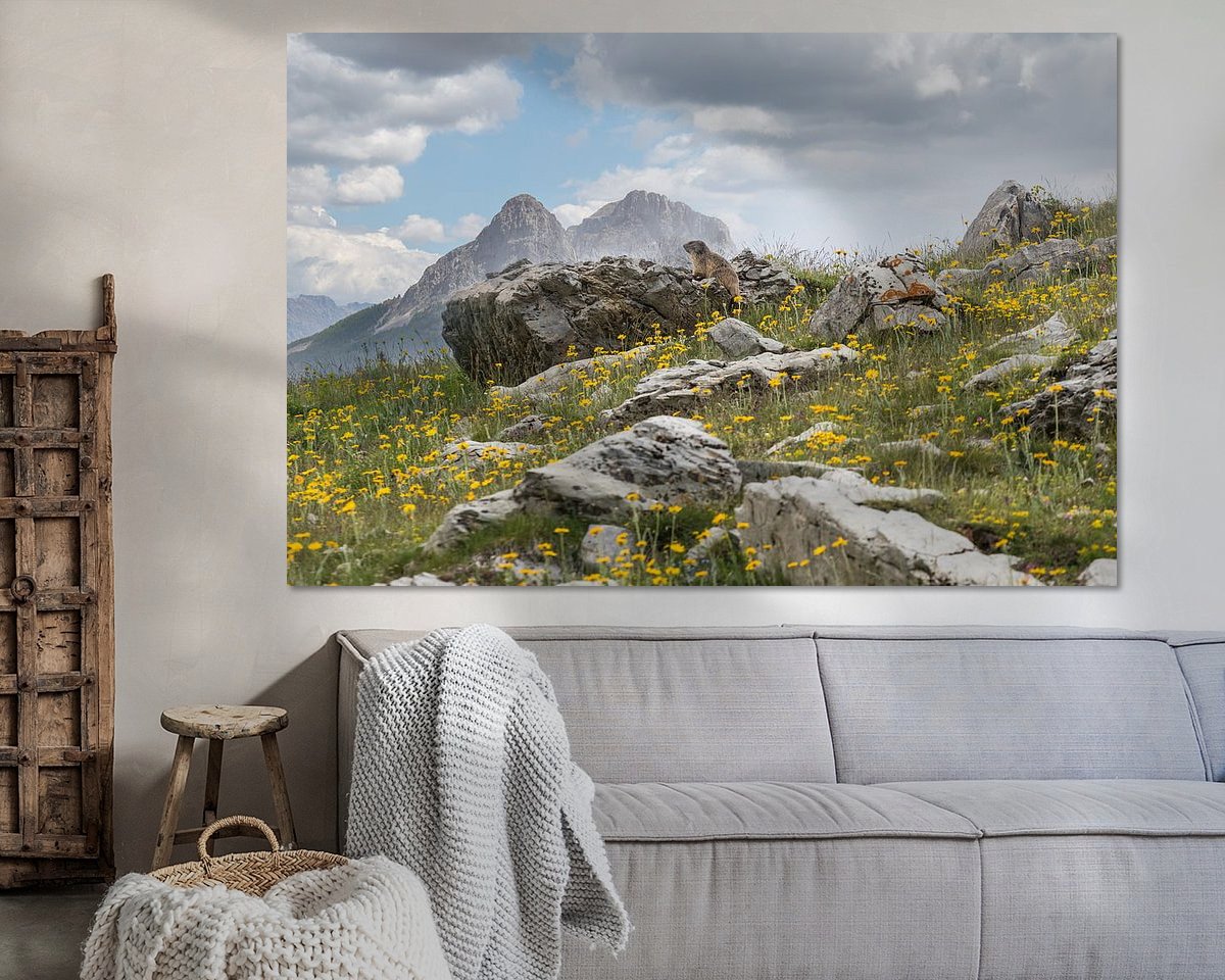 Voorbeeld van het werk in een kamer