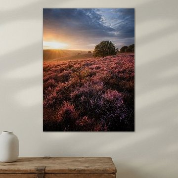 Posbank Sonnenaufgang