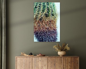 Colourful Cactus van Anne Unverzagt