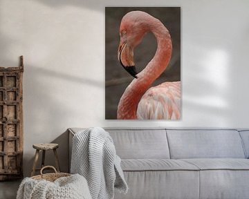 Flamingo van Diana Waardijk