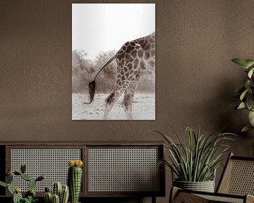 Een veeg met de staart van Loris Photography