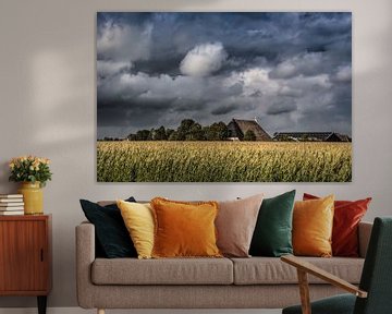 Maisveld en boerderij vlak onder Tzum in Friesland van Harrie Muis