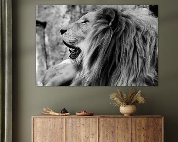 The Lion King van Leen Van de Sande