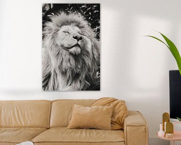 The Lion King 2.0 van Leen Van de Sande