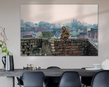 Moeder aap met kind boven op een muurtje met kleurrijke sloppenwijk op de achtergrond. van Twan Bankers