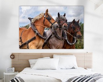 Driespan Trekpaarden hoofden portret van Bram van Broekhoven