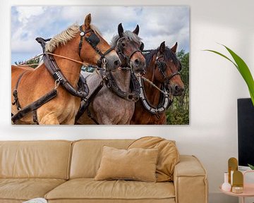 Driespan Trekpaarden hoofden portret van Bram van Broekhoven