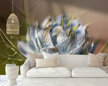 Bloem van Ron Kleinjans