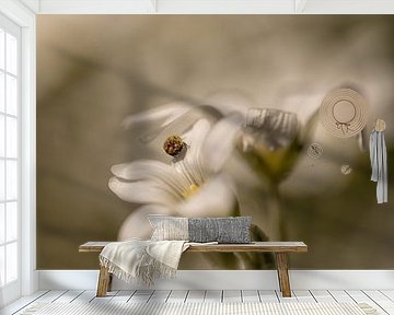 Bloem van Ron Kleinjans