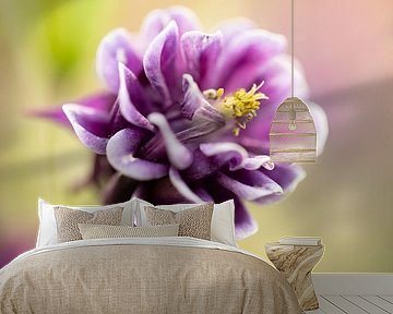 Bloem van Ron Kleinjans