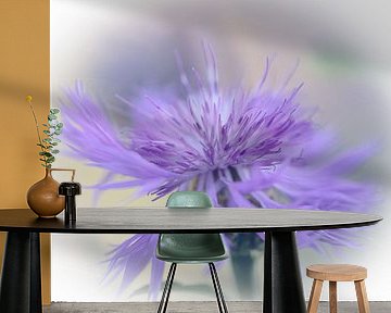 Bloem van Ron Kleinjans