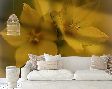 Bloem van Ron Kleinjans