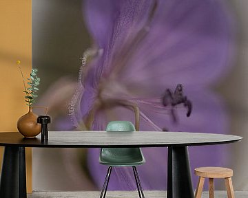 Bloem van Ron Kleinjans