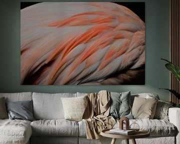 Close-up Flamingo van Marieke Peters-Brugmans