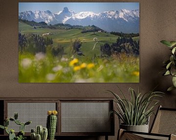 Frühling im Entlebuch von Franziska Jungen