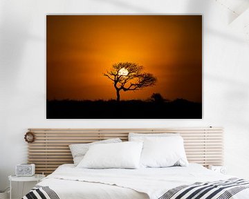 Zonsondergang Kruger Park Zuid-Afrika van Sander Huizinga