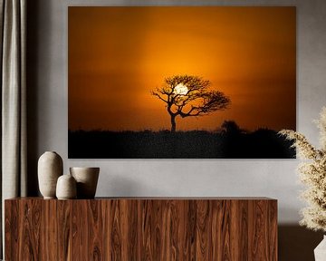 Sunset Kruger Park Südafrika von Sander Huizinga