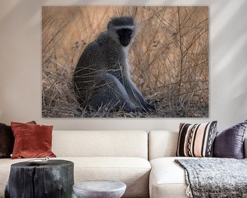 Verblassender Affen-Krügerpark von Sander Huizinga
