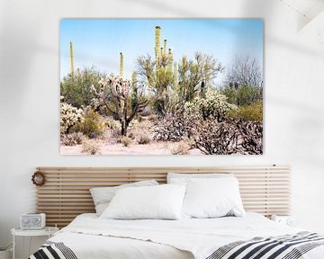 Californië  woestijn landschap met Saguaro Cactus omgeving Joshua Tree en woestijn van Marianne van der Zee