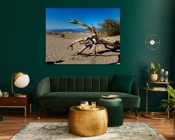 Tree in the desert by Koen van der Werf