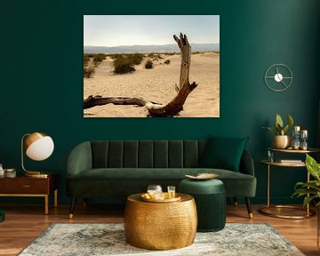 Tree in the desert by Koen van der Werf