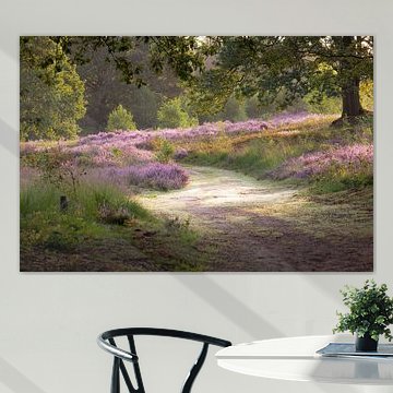 wandelen op de heide