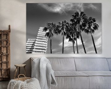 Palmbomen (zwart-wit) van Rob Blok