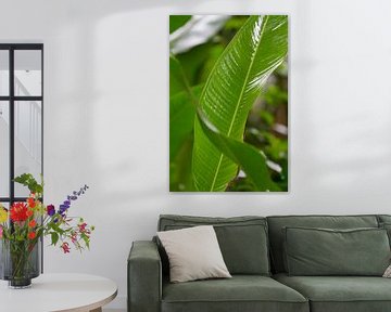 Green as the jungle by rene marcel originals