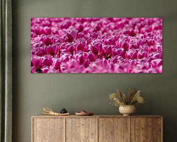 Veld met roze Tulpen  by Menno Schaefer