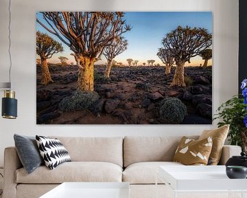 Kokerboom woud (Afrikaans) von Loris Photography