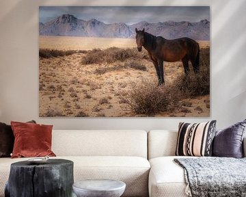 Wilde Mustang van Joris Pannemans - Loris Photography