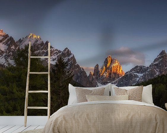 Aperçu de la chambre