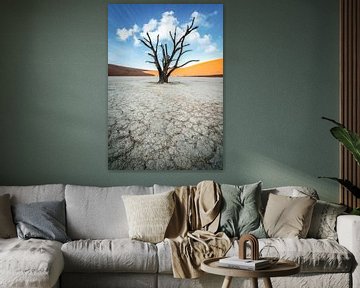 Lonely Acacia by Loris Photography