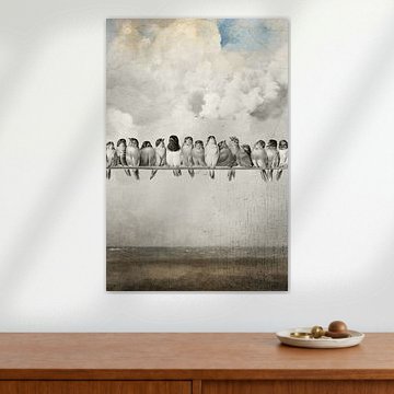 All the Pretty Birds