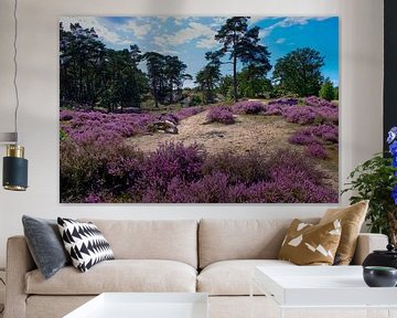 Bloeiende hei op de Soester Duinen van Maarten Kerkhof